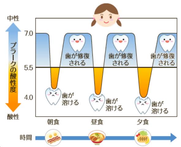 う蝕(虫歯)のメカニズム – とみざわ駅前歯科 | 富沢駅徒歩3分